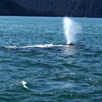 Screen Shot 2016-07-09 at 9.00.22 PM.jpg